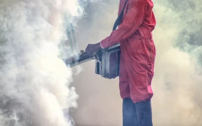 Fumigation Certificate: When is it Required?