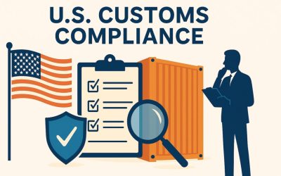 US Customs Holds & Exams: Processes, Types and Important Considerations